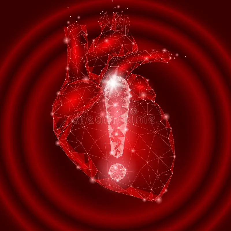 Health Triangle: The Secret to a Balanced Life and Better Well-Being