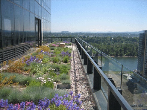 center for health & healing portland or