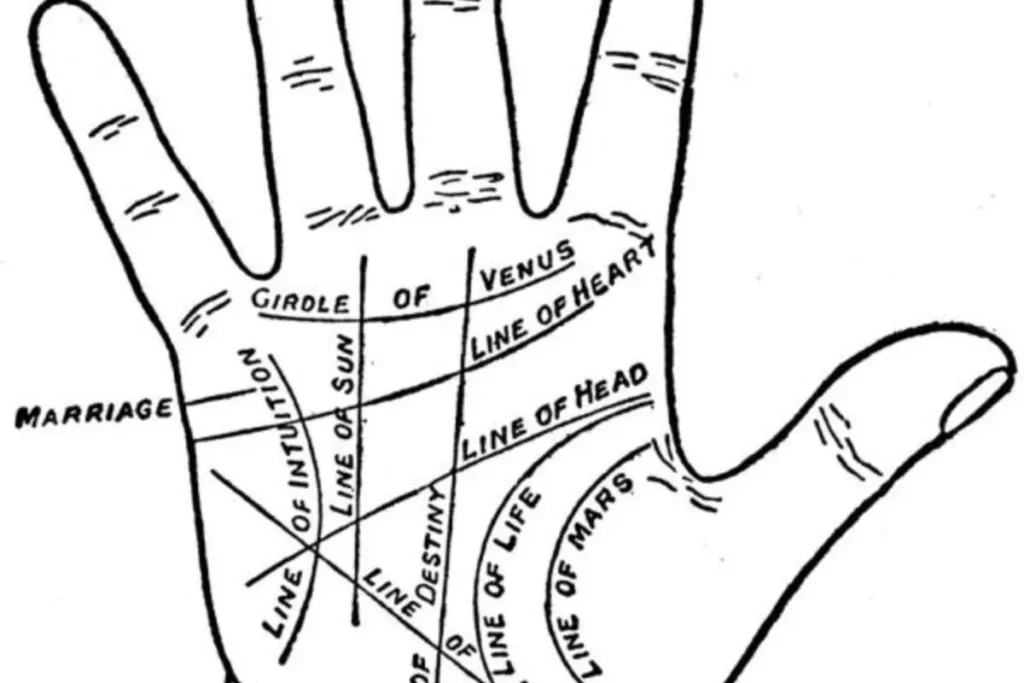 Palmistry Health: How Your Health Line Reveals Your Well-Being & Vitality
