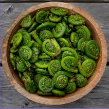 Key Health Benefits of Fiddleheads