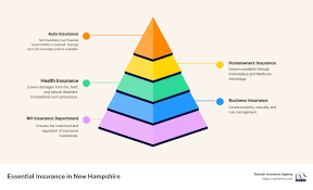 Understanding Plan Types and Coverage Levels in NH